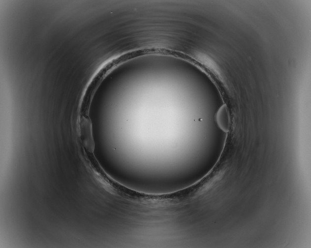 X0000087330924200704201125