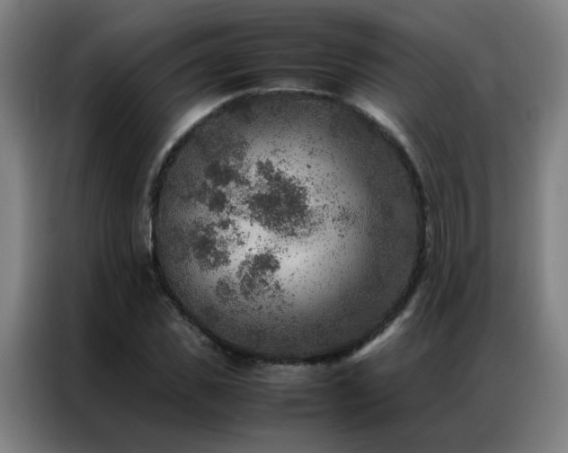 X0000087330925200704201125
