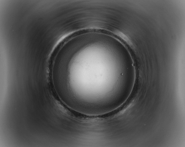 X0000087330926200704201125