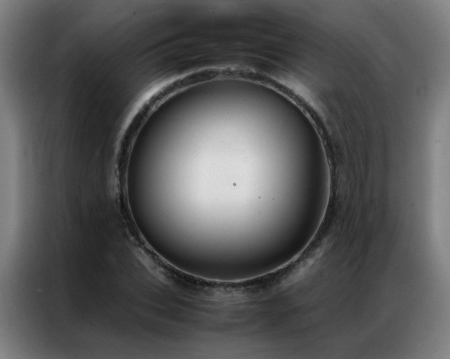 X0000087330927200704201125