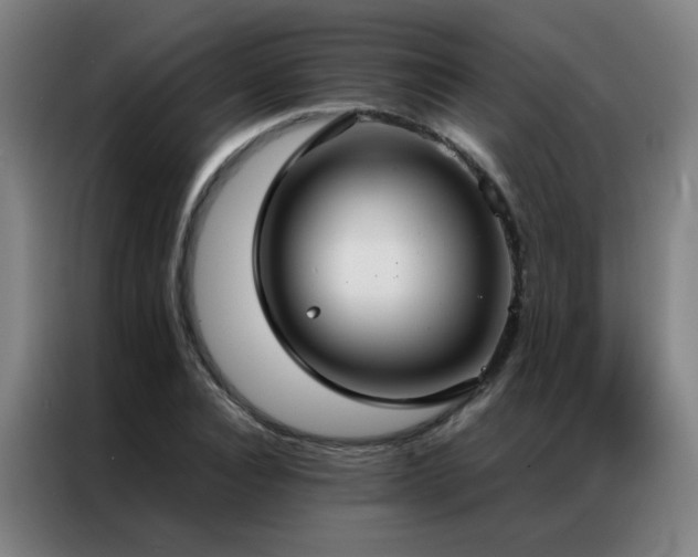 X0000087330928200704201125