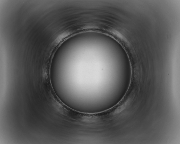 X0000087330929200704201125