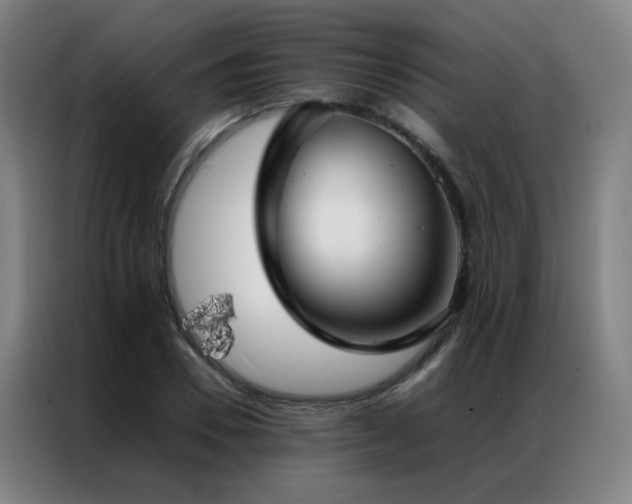X0000087330930200704201125