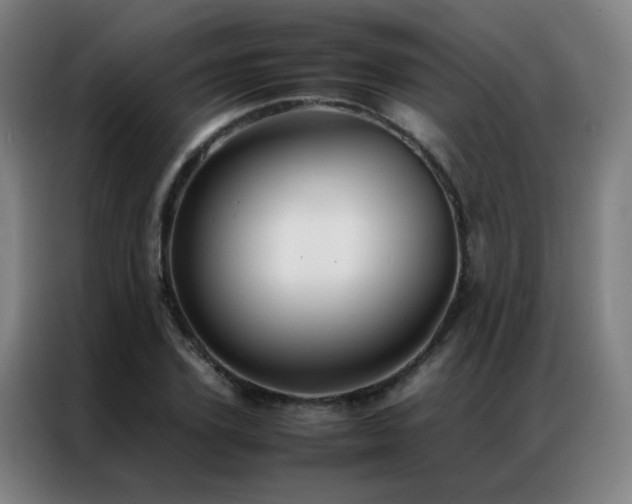 X0000087330931200704201125