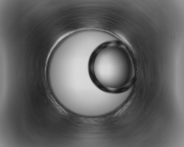 X0000087330932200704201125
