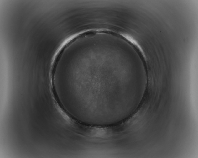 X0000087330935200704201125