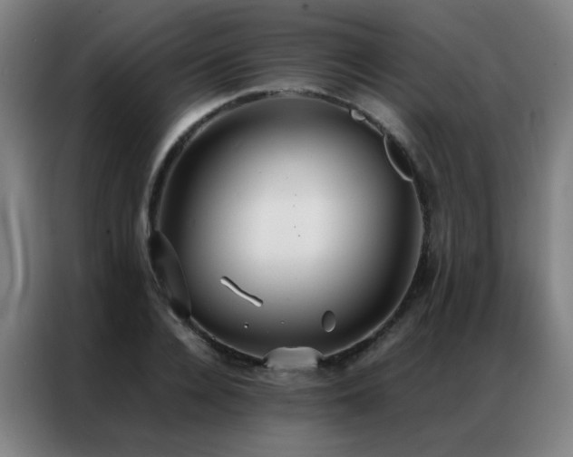 X0000087330936200704201125