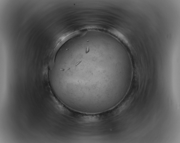 X0000087330937200704201125