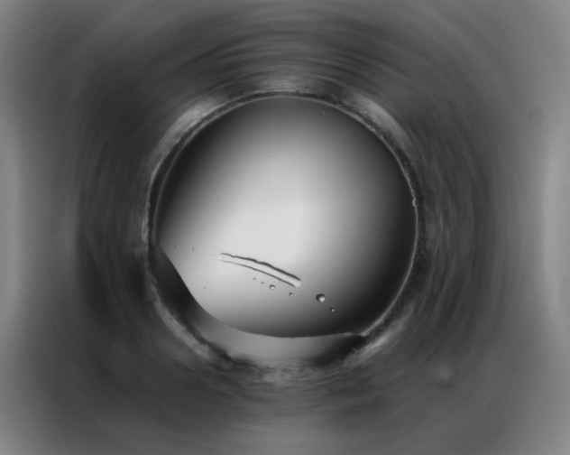 X0000087330938200704201125