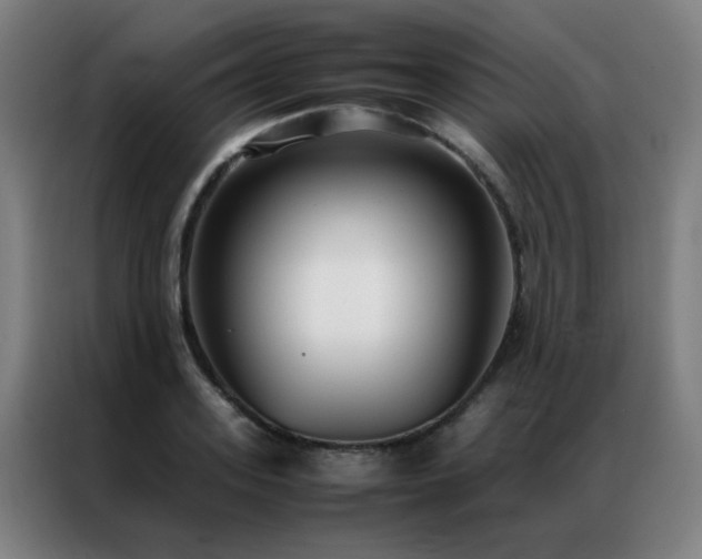 X0000087330939200704201125