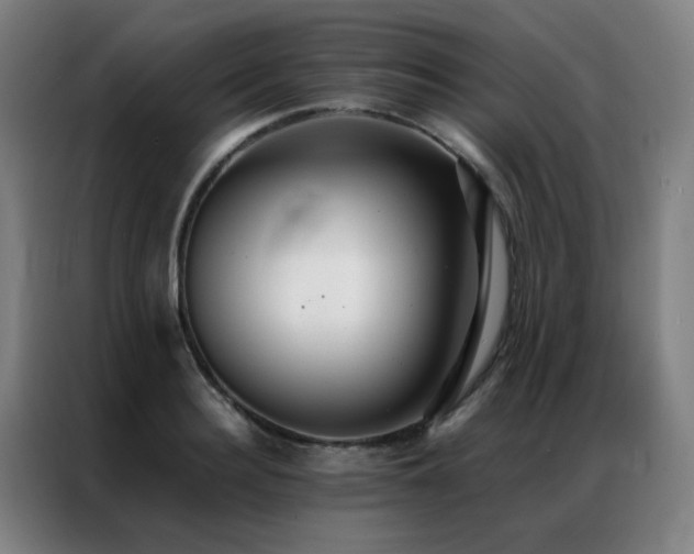 X0000087330940200704201125