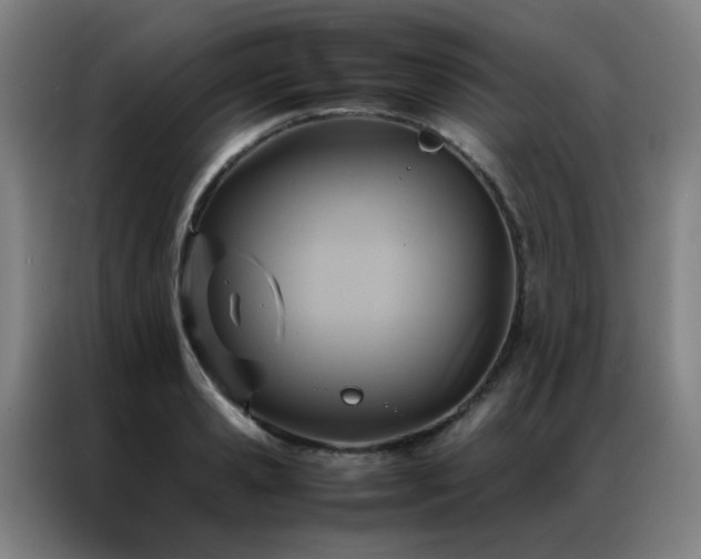 X0000087330941200704201125