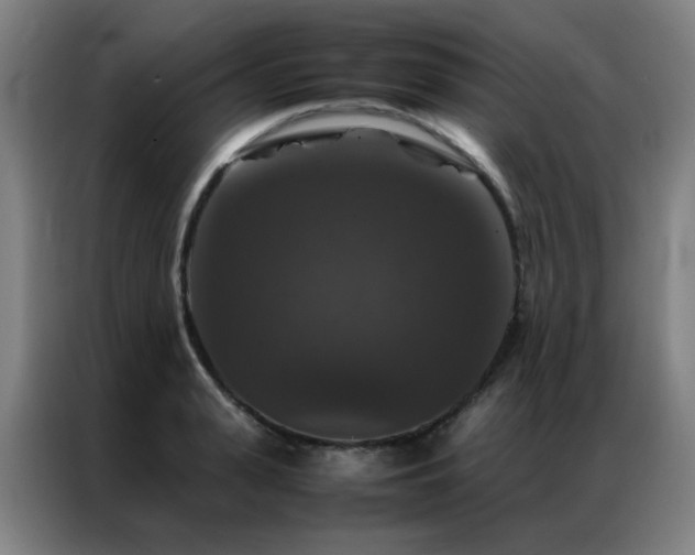 X0000087330943200704201125