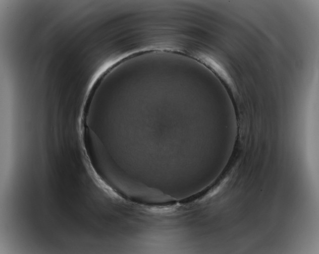 X0000087330944200704201125