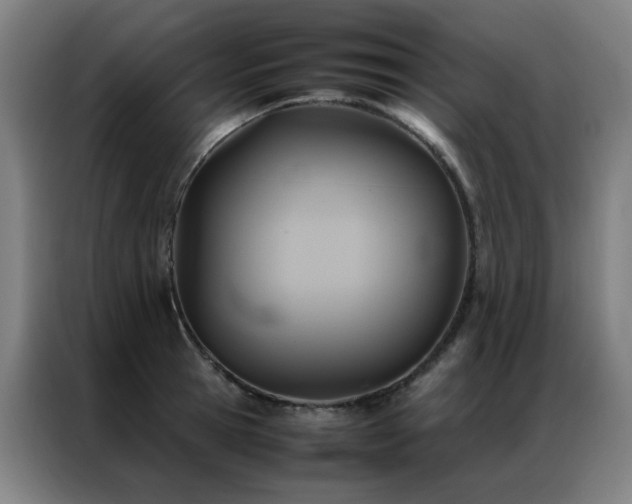 X0000087330945200704201125