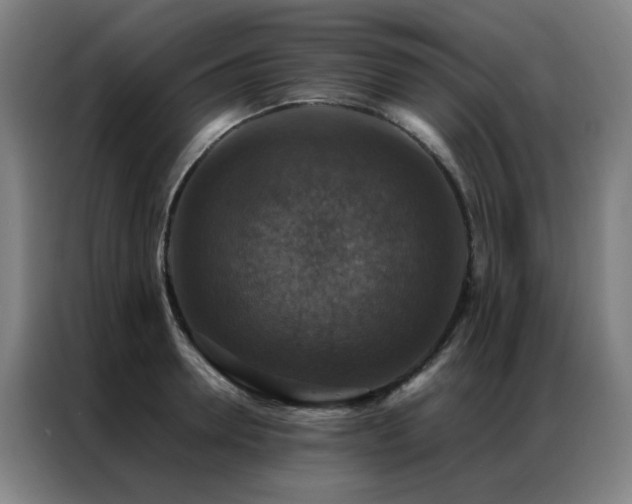 X0000087330946200704201125
