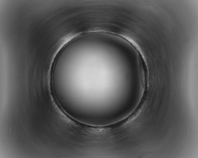 X0000087330949200704201125