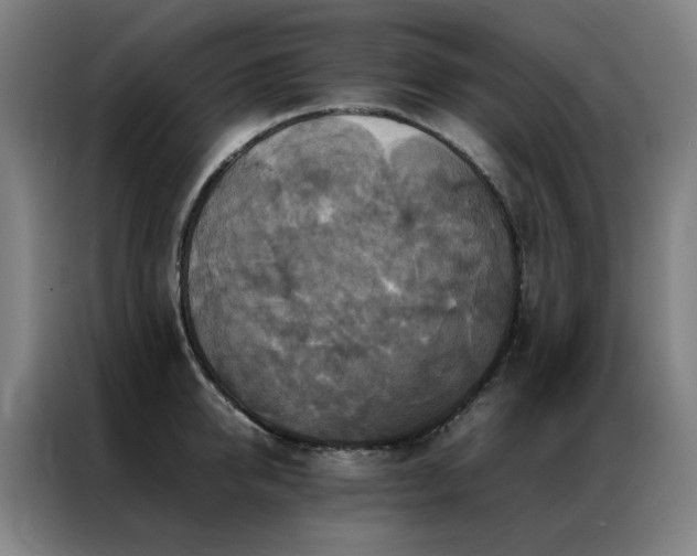 X0000087330950200704201125