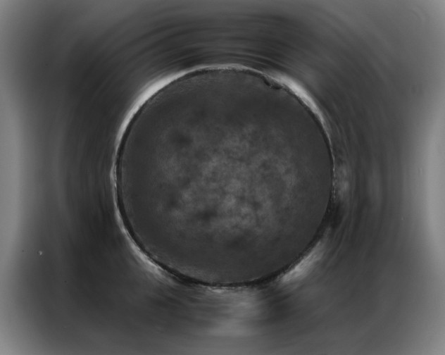 X0000087330951200704201125