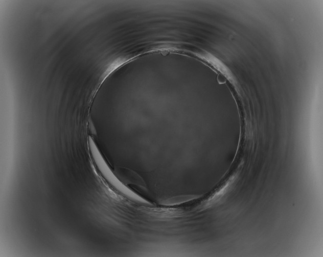 X0000087330953200704201125