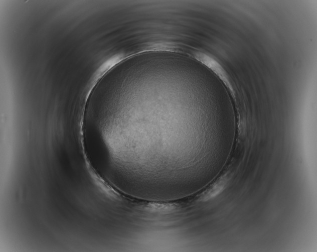 X0000087330954200704201125