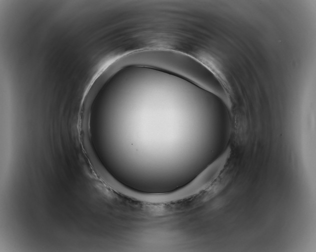 X0000087330956200704201125