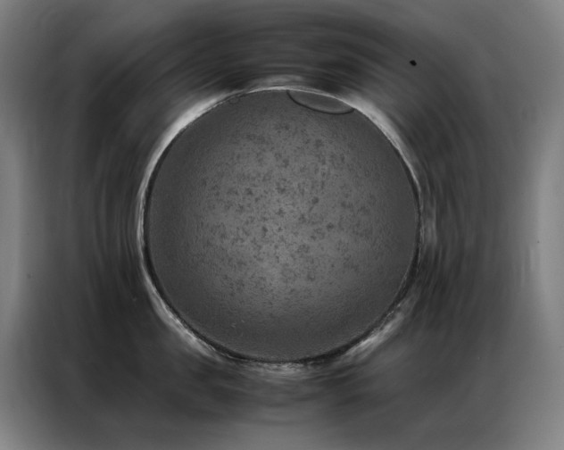 X0000087330957200704201125