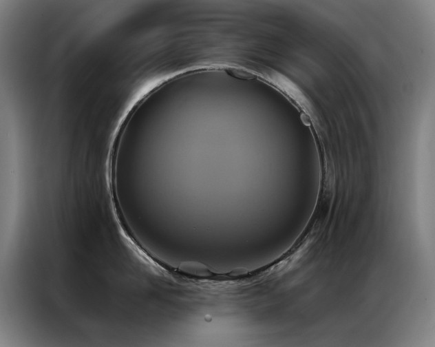 X0000087330958200704201125