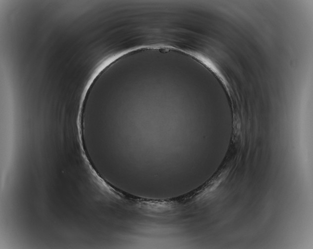 X0000087330959200704201125