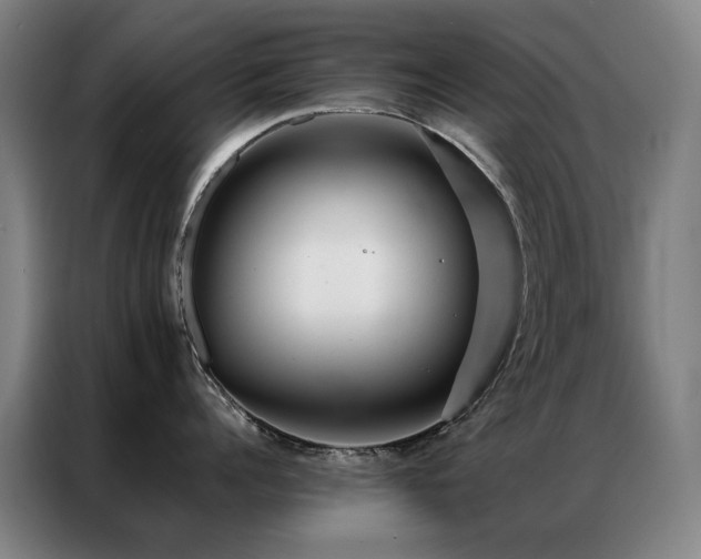 X0000087330960200704201125
