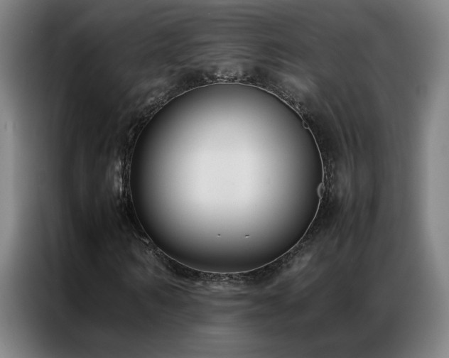 X0000087330962200704201125