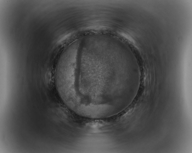 X0000087330966200704201125