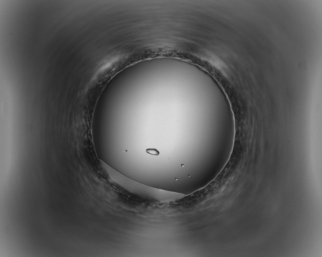 X0000087330967200704201125