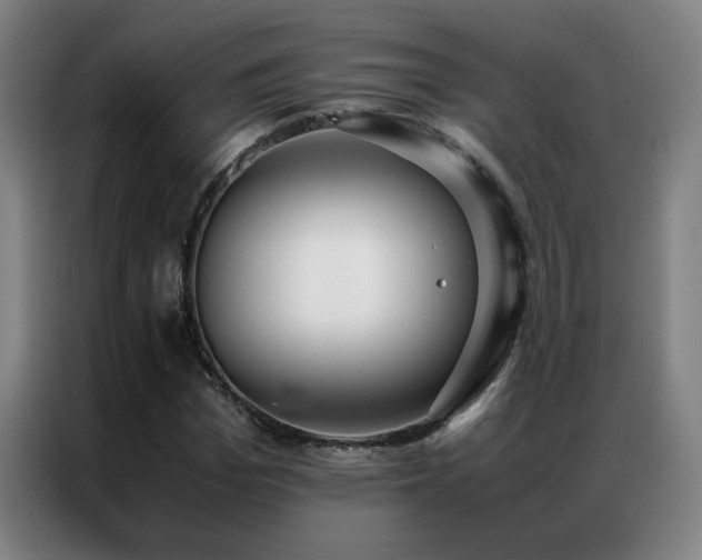 X0000087330969200704201125