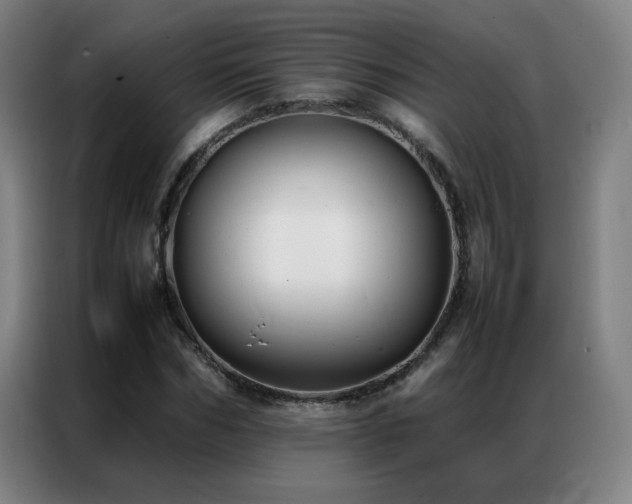 X0000087330970200704201125