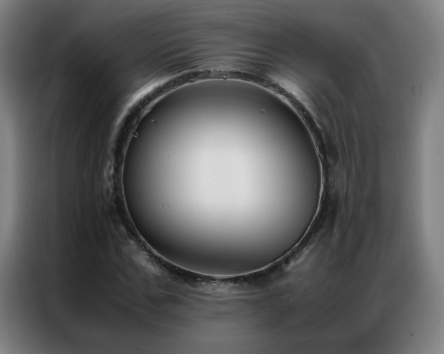 X0000087330971200704201125