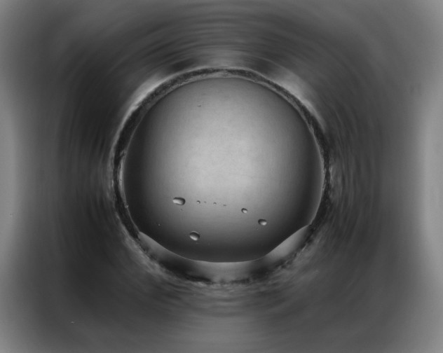 X0000087330972200704201125
