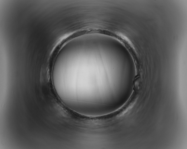 X0000087330973200704201125