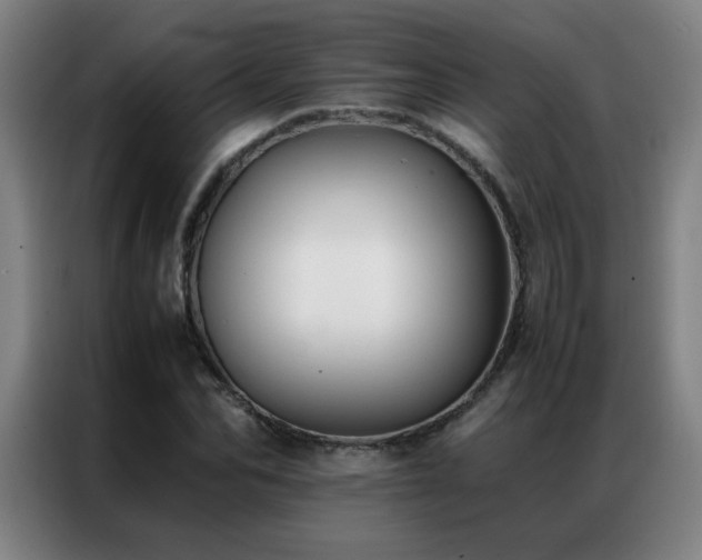 X0000087330974200704201125