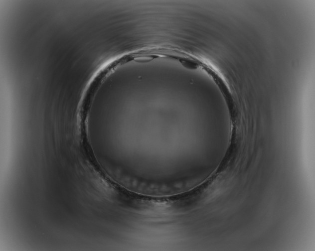 X0000087330975200704201125