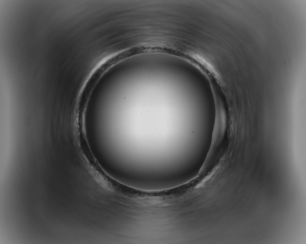 X0000087330976200704201125