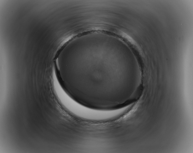 X0000087330977200704201125