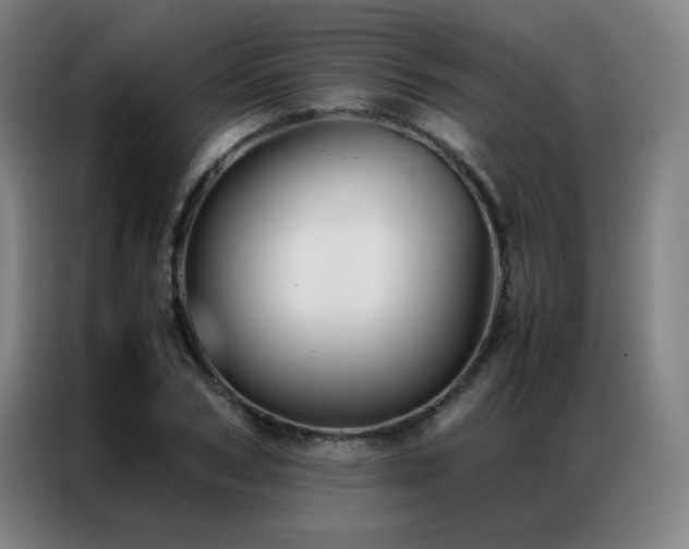 X0000087330978200704201125