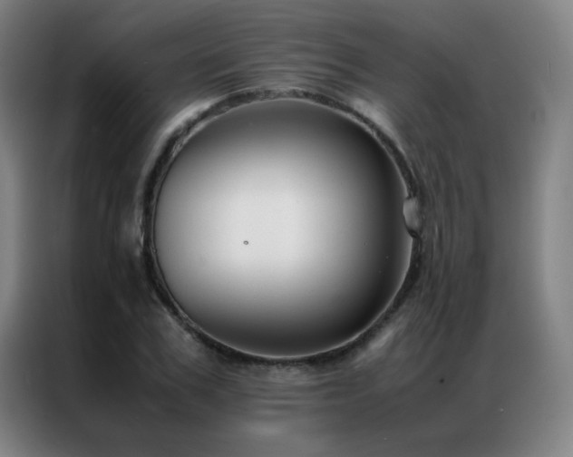 X0000087330979200704201125