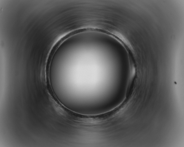X0000087330980200704201125