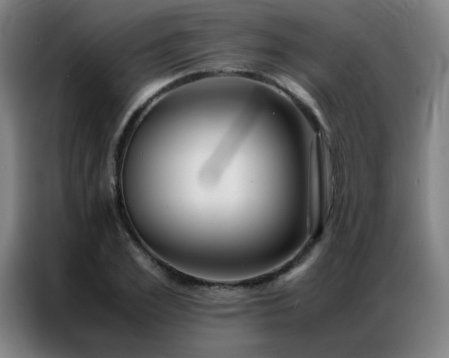 X0000087330981200704201125