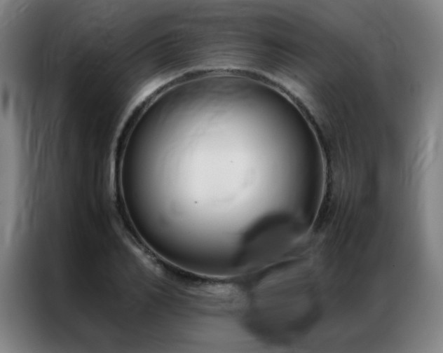 X0000087330982200704201125