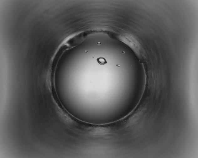 X0000087330984200704201125