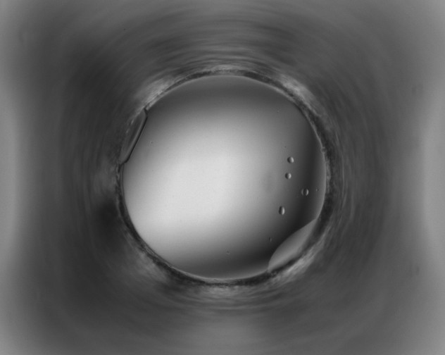 X0000087330985200704201125