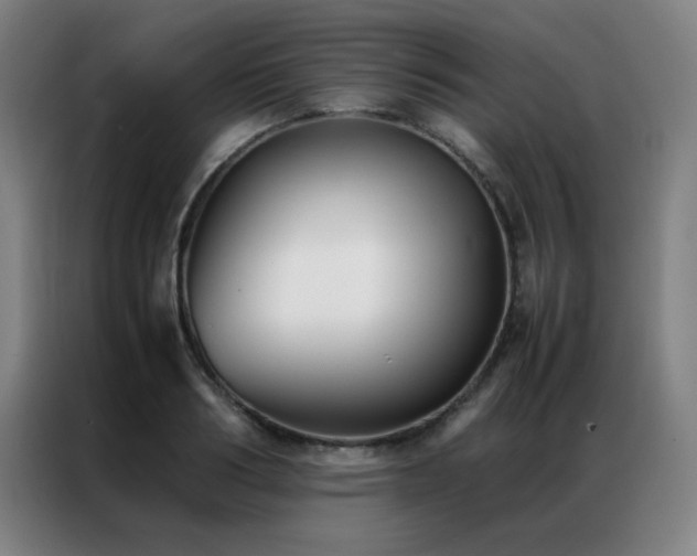 X0000087330986200704201125